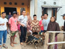 Anggota DPRD Dompu, H. Jaya, Serahkan Secara Simbolis Bantuan Bibit Kambing 25 Ekor Kepada Kelompok Ternak Milenial Farm Desa Mbawi.
